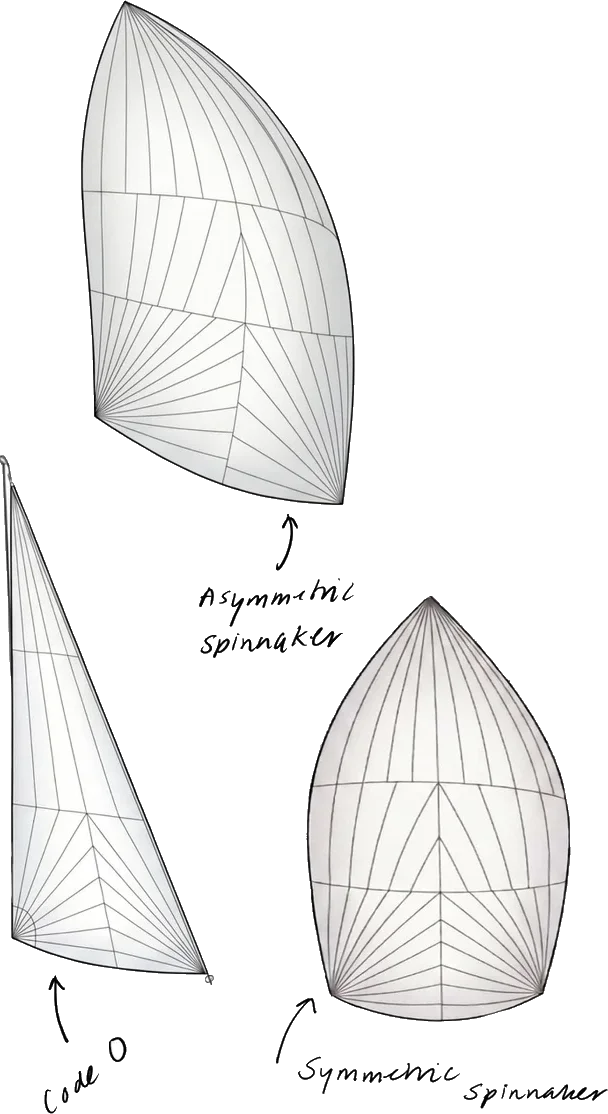 Three spinnaker sail shapes compared: asymmetric spinnaker, code zero, and symmetric spinnaker