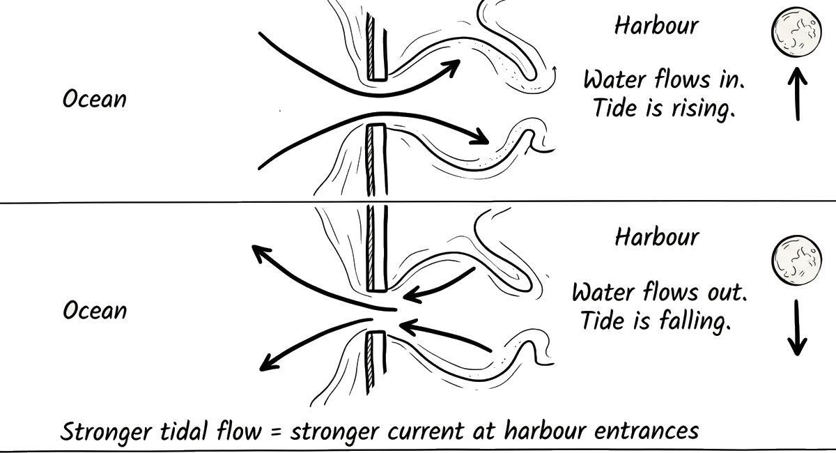 Diagram showing rising and falling tides at a harbour entrance, with water flowing in on the flood and out on the ebb