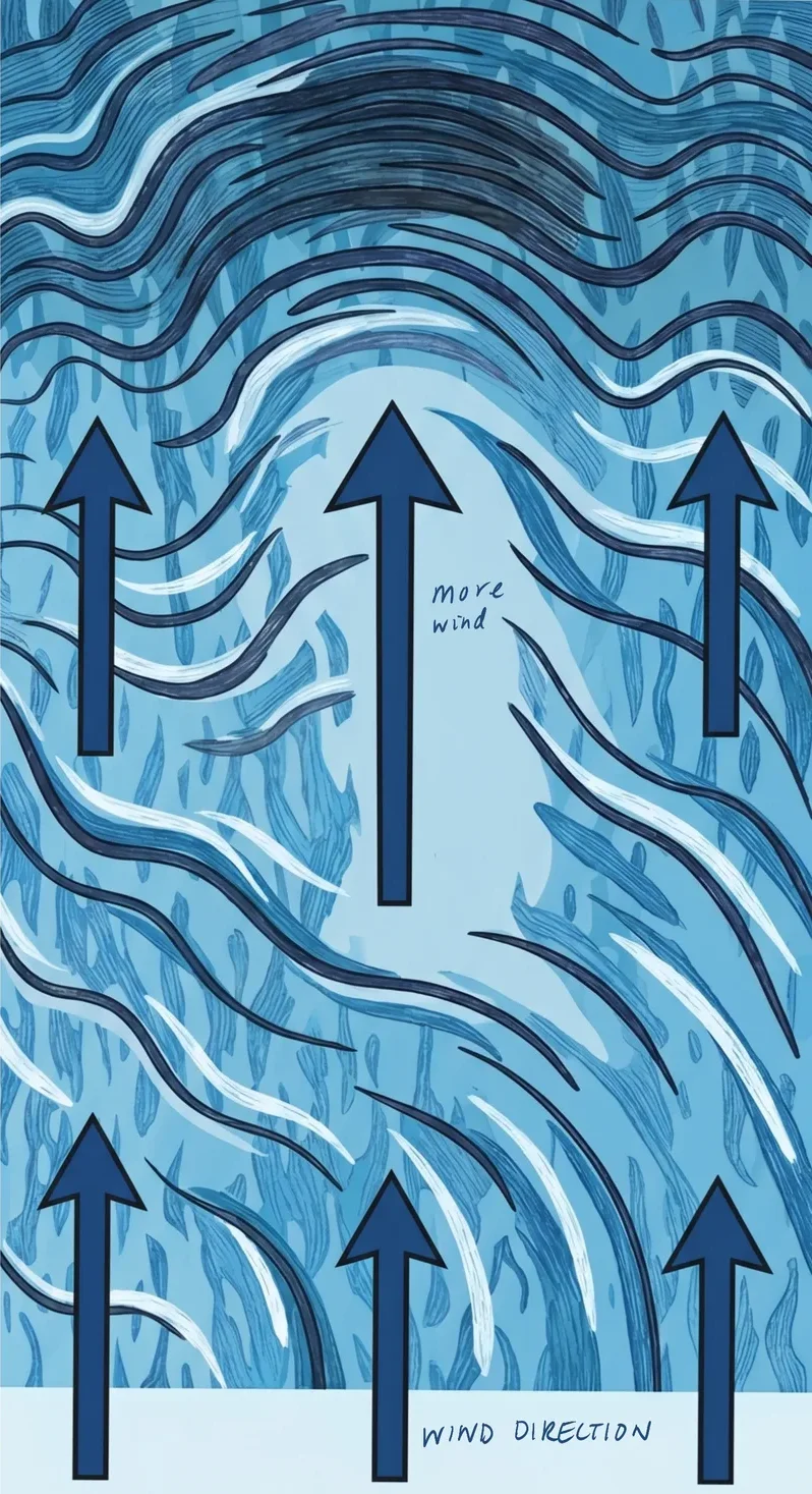 Illustration showing wind direction with arrows over dark and light patches of water surface