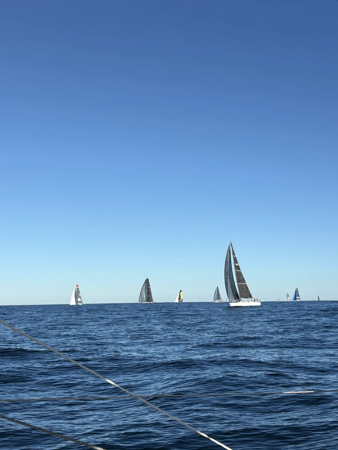 The fleet at the start
